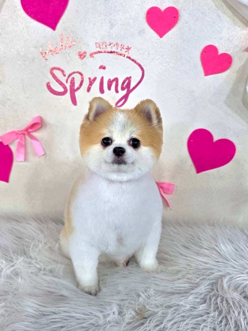 사진 2