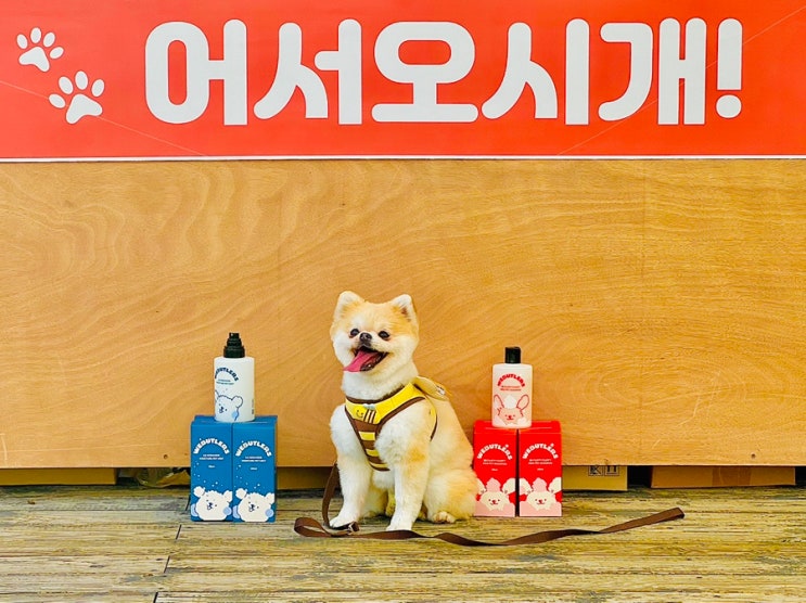  펫 팝업 이벤트 '너는 솔로, 나는 반려' 참여 후기 in 용산