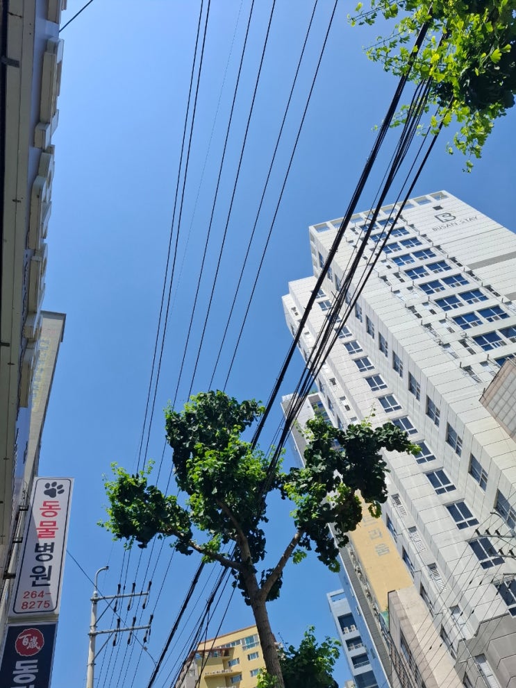 부산보험설계사 일상 , 보험교육듣고 꼼꼼하게 진정성있게 도움드릴게요