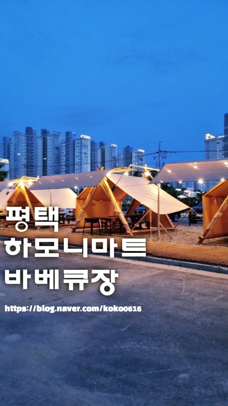 평택 당일 글램핑 칠원동 하모니마트 바베큐장