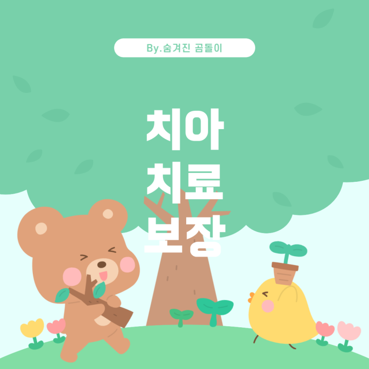  메리츠화재 내맘대로보험의 치아보장 항목