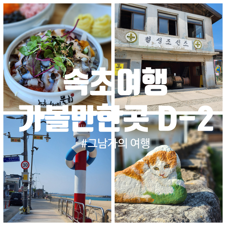  속초여행 : D-2 속초 가볼만한곳 항아리물회, 칠성조선소, 돌담마을까지 250609