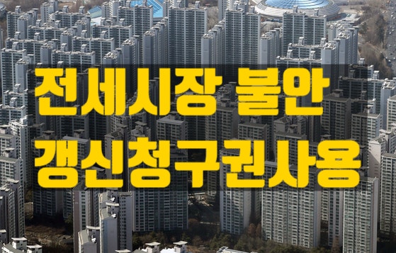  서울 전세시장도 불안하다. 계약갱신청구권 사용 급증, 공급부족과 토지거래허가구역으로 전세난 유발?
