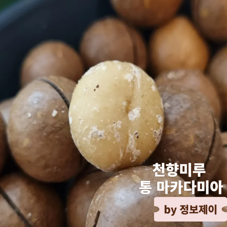  맛있는 마카다미아 추천 천향미루 드라이 로스티드 & 바닐라 통 마카다미아 후기