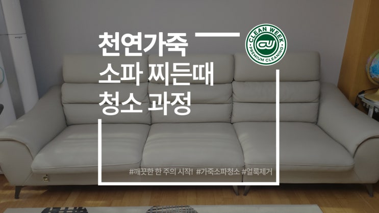 천연 가죽 소파 찌든때 닦는 청소 방법 그리고 케어 과정