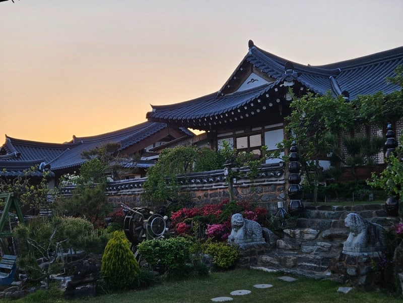 사진 5
