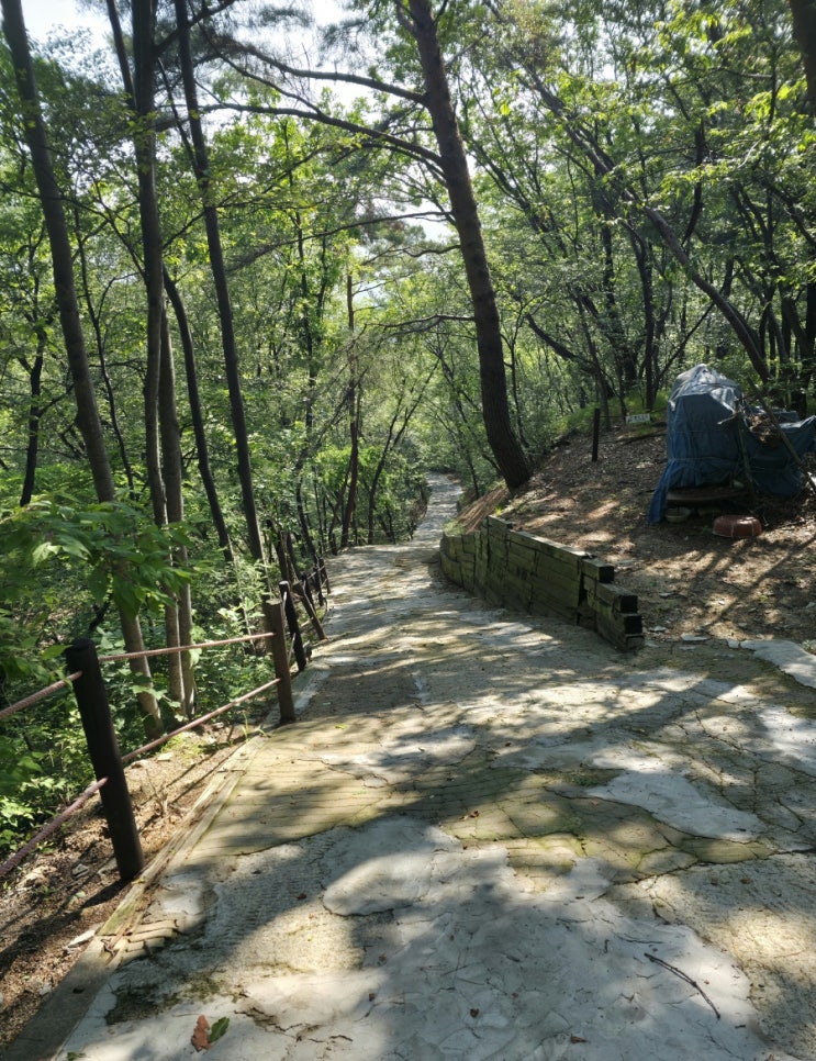  의정부 회룡역 산책코스 끝판왕! 숨은 힐링 명소 ‘직동근린공원’ 정복기 