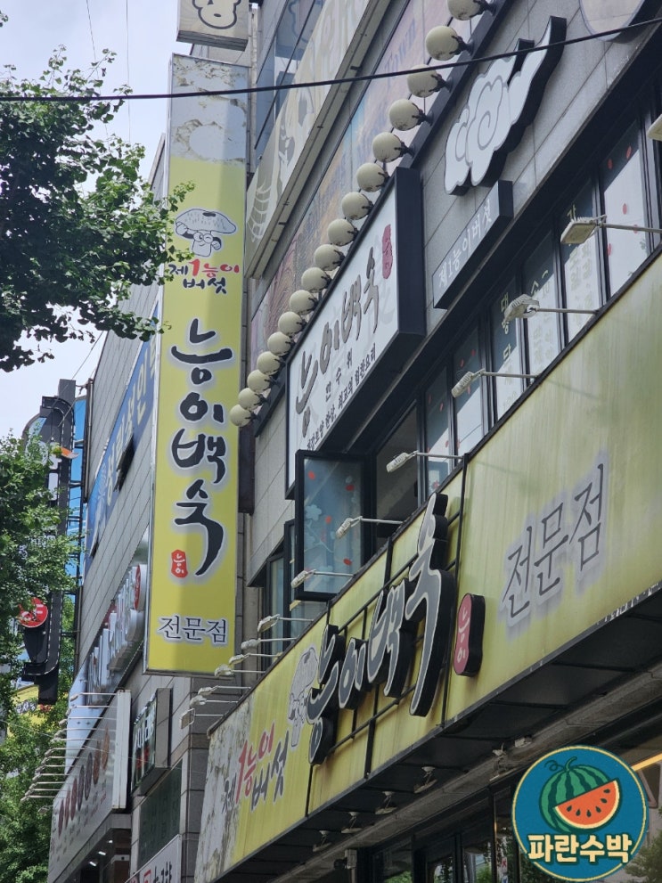  [대구 성서] 성서 닭백숙 맛집 성서제1능이버섯능이백숙(메뉴판,위치)