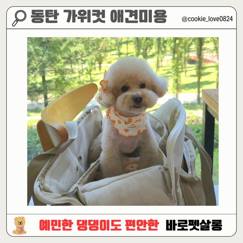 바로펫살롱
