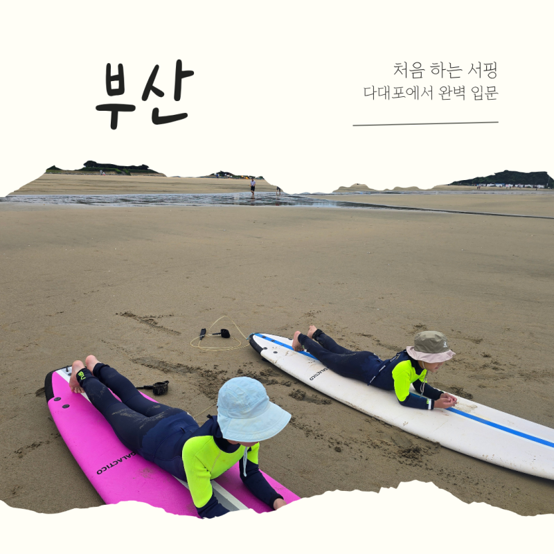 부산서핑 제대로 하려면? 다대포 서프홀릭에서 제대로 배워보세요
