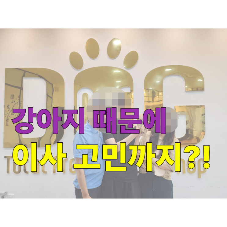  세종시 강아지분양 11년차 믿을 수 있는 원독 애견분양 센터 고등학생 아들의 토이푸들 분양 후기