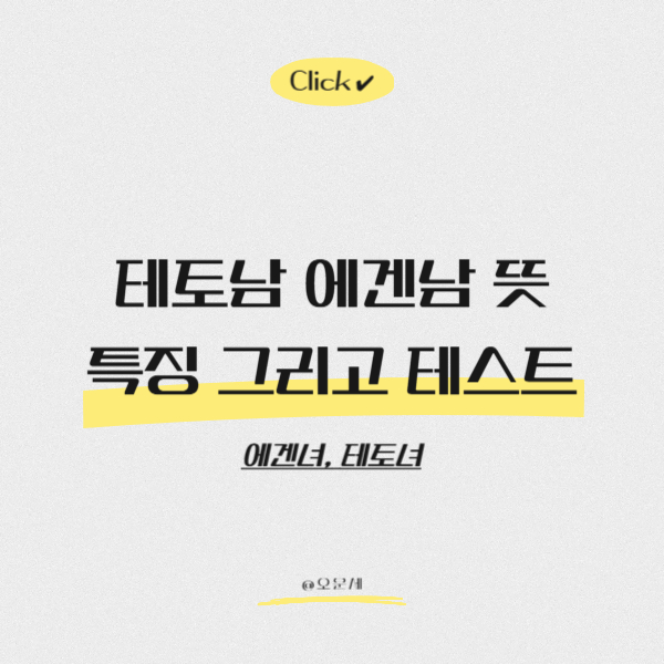  테토남 에겐남 뜻과 특징 그리고 테스트까지 총정리 (에겐녀, 테토녀)
