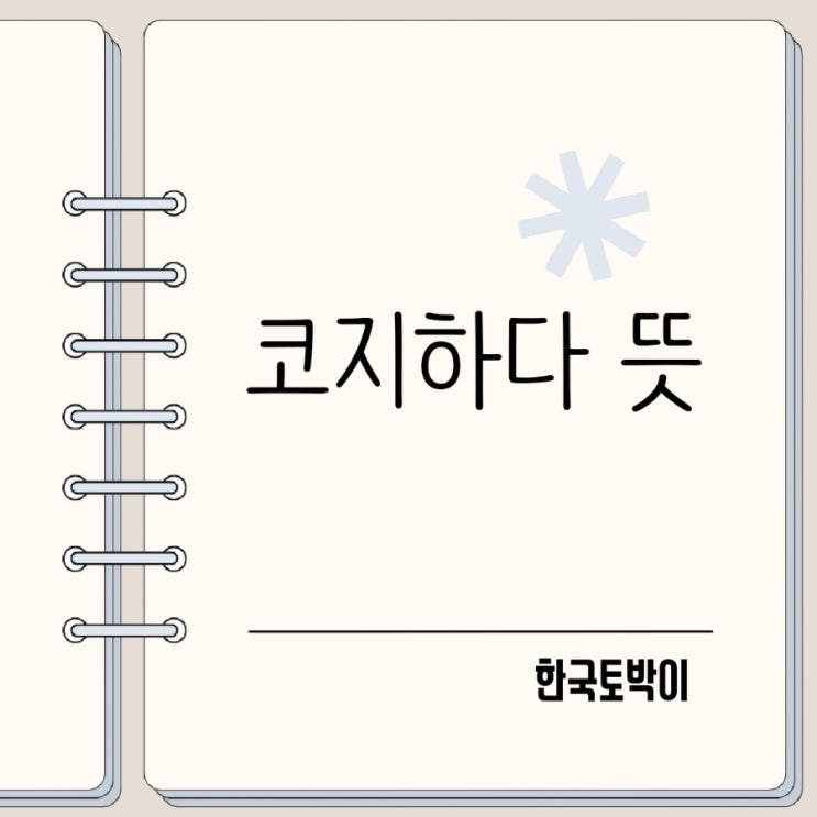 코지하다 cozy 뜻