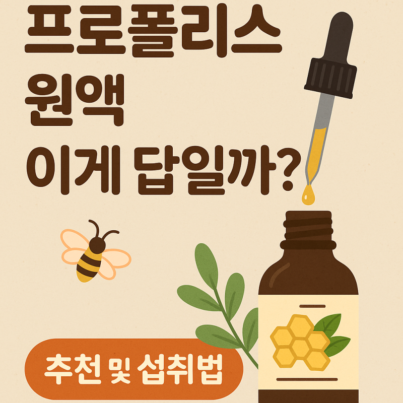 프로폴리스 원액, 이게 답일까? 추천 및 섭취법 총정리