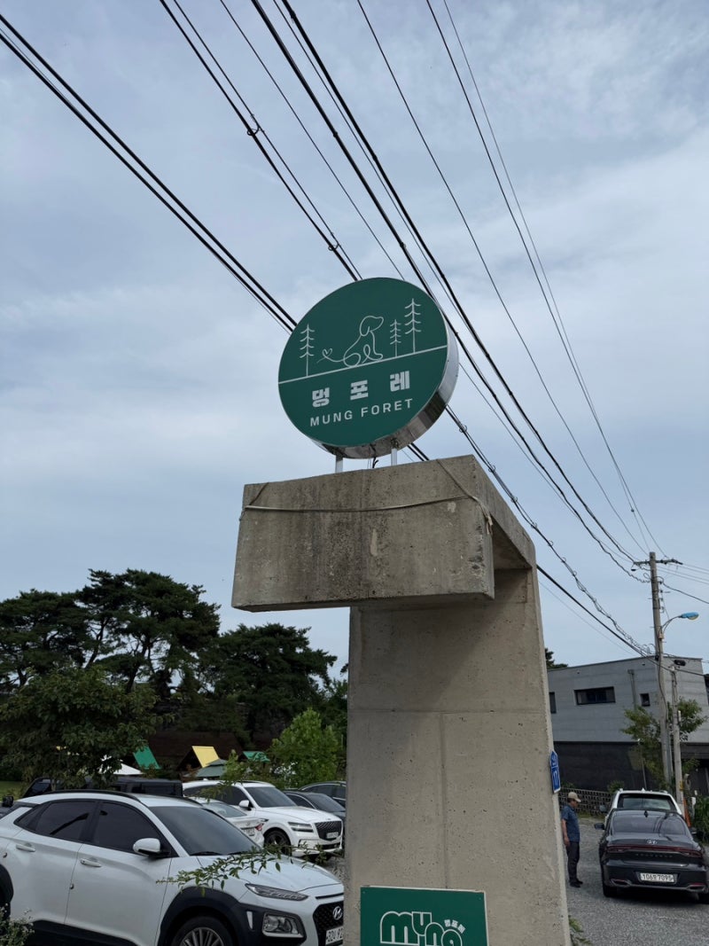 사진 3