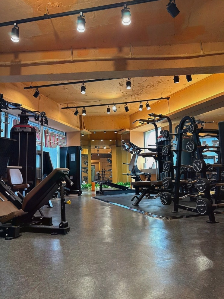 [두이스짐 광화문점] 최고의 운동 경험을 제공하는 광화문PT