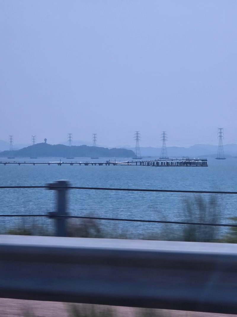사진 5