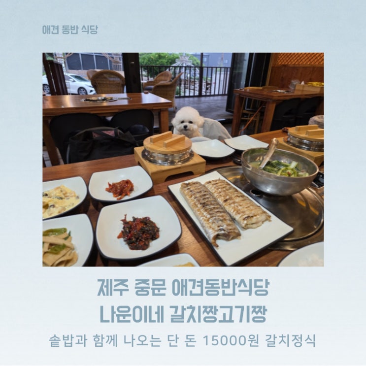  제주 중문 애견동반 식당 솥밥과 함께 나오는 갈치구이정식 나운이네갈치짱고기짱