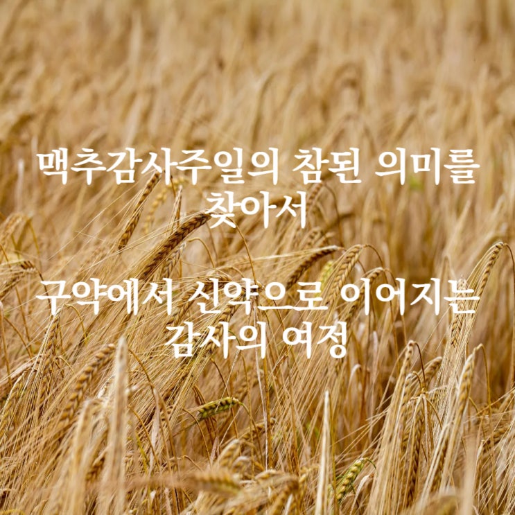  맥추감사주일의 참된 의미를 찾아서: 구약에서 신약으로 이어지는 감사의 여정