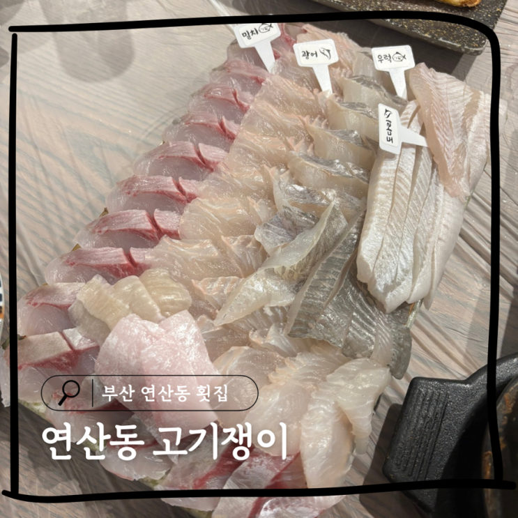  부산 연산동 횟집 모둠회 제대로 하는 곳 찾는다면 연산동고기쟁이