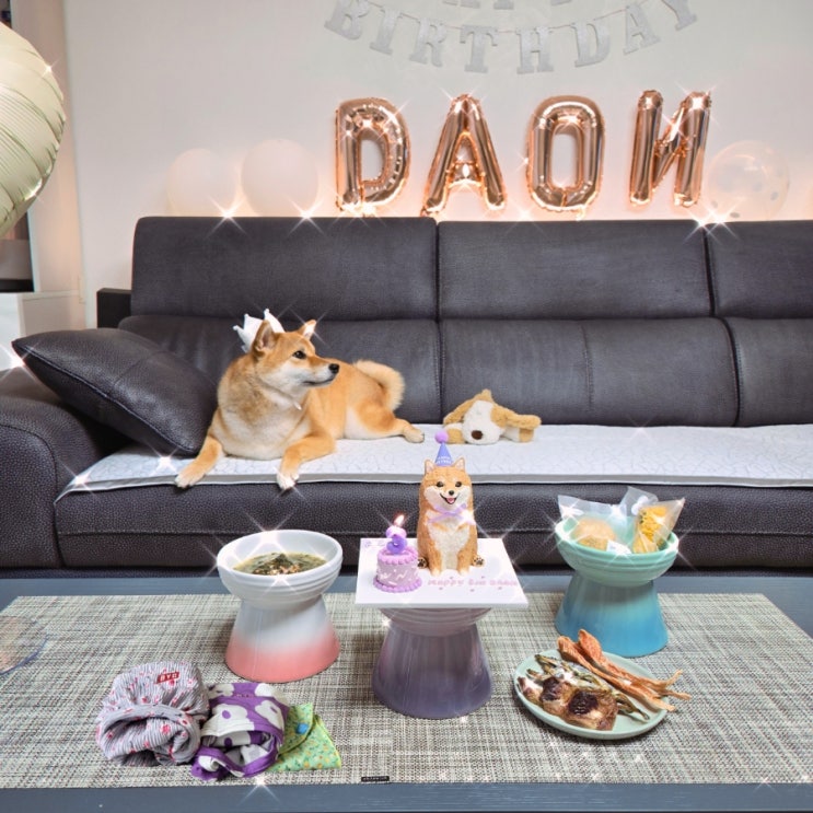  세 살 다온이의 생일 이야기｜반려견 생일파티, 선물과 수제 케이크까지
