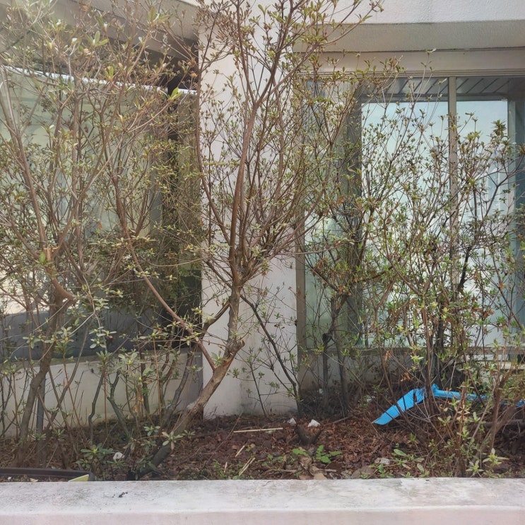  시온휴요양원, 치매전문프로그램으로 어르신을 챙기세요