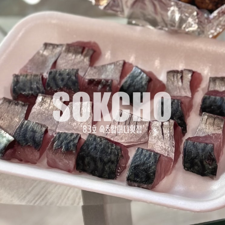  속초 중앙시장 회포장 맛집 내돈내산 추천 '속초할머니횟집'