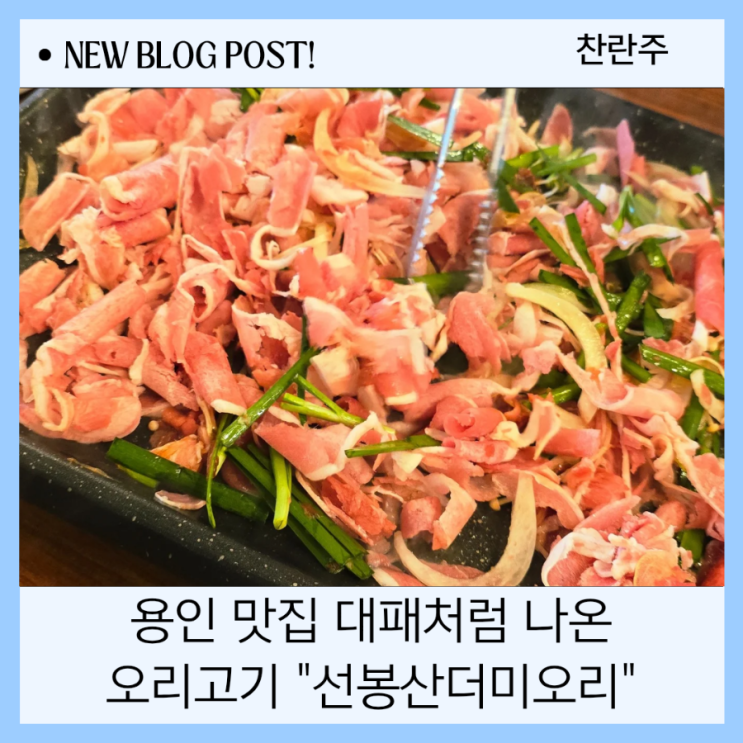  용인맛집 오리샤브 비린내 없는 선봉산더미오리