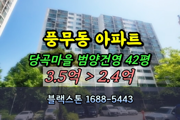  풍무동 당곡마을 범양건영아파트 경매 42평 [2024타경2871]