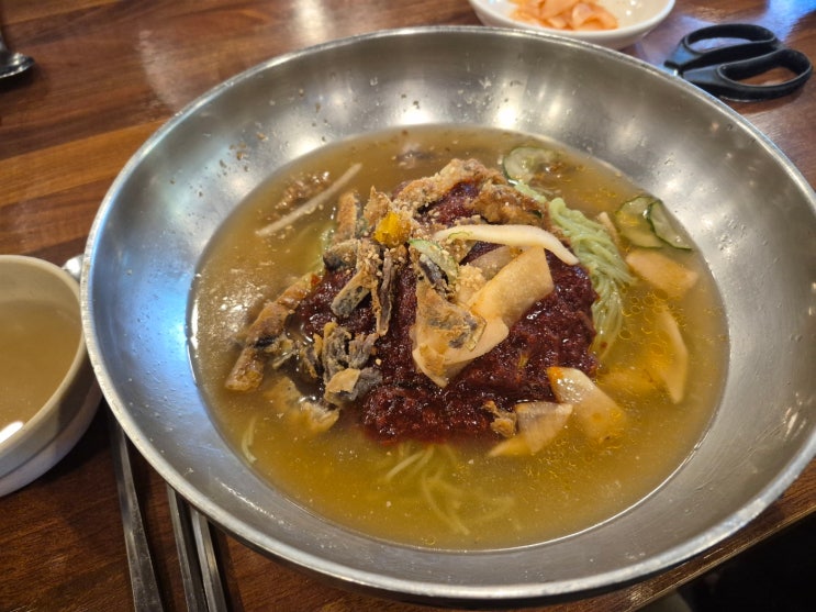  [내돈내산] 포항 남구 이동 여름철 대세 맛집, 진짜 육전냉면 - 교동면옥