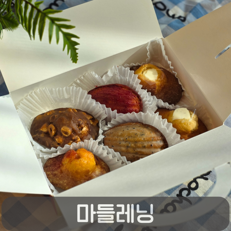  도안동 구움과자 카페 마들레닝, 마들렌 6종 답례품으로 딱이에요!