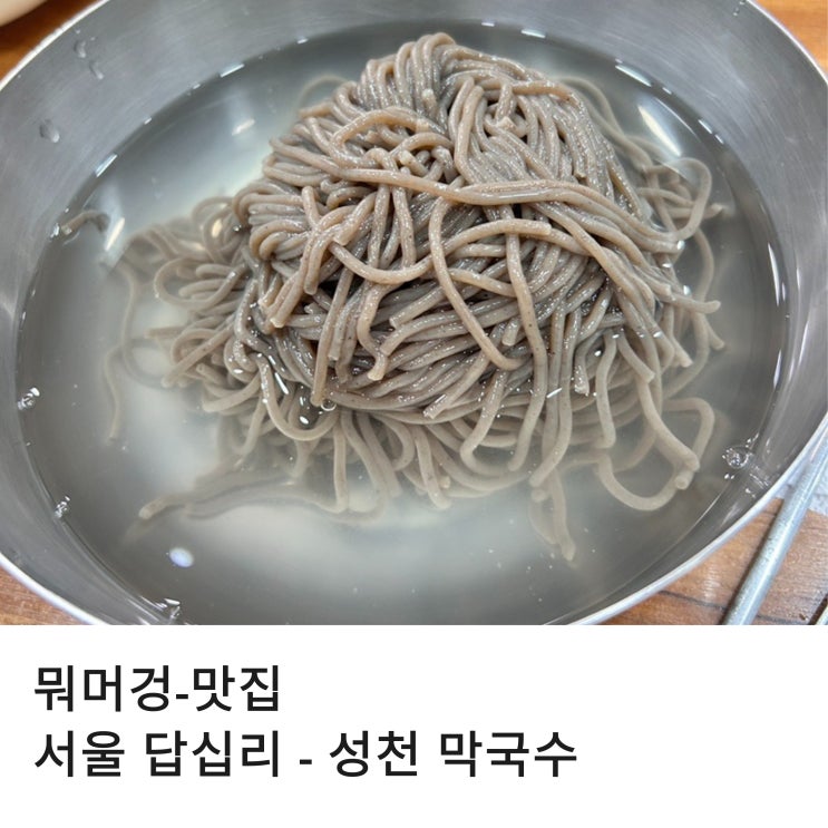  성시경 먹을 텐데 맛집 답십리 찐 맛집 성천 막국수 평일 오픈런 한 후기 410f13c0c1944433b121e58f6c3d82f8