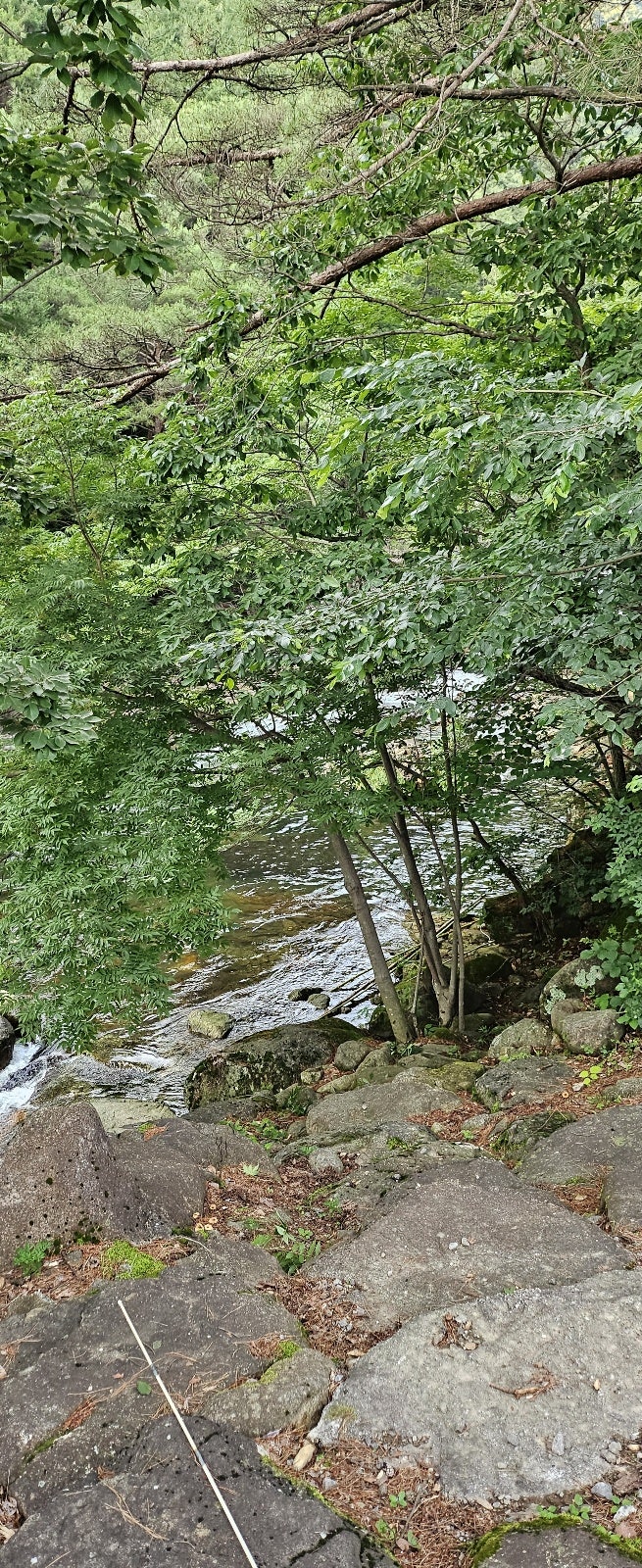 계곡민박 사진 3