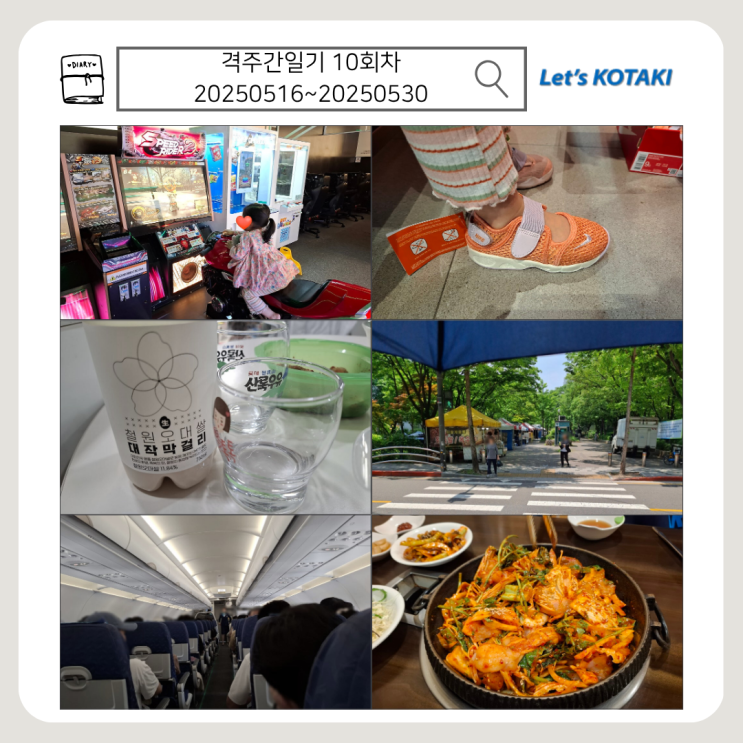  격주간일기 10회차 | 5월 16일부터 30일까지