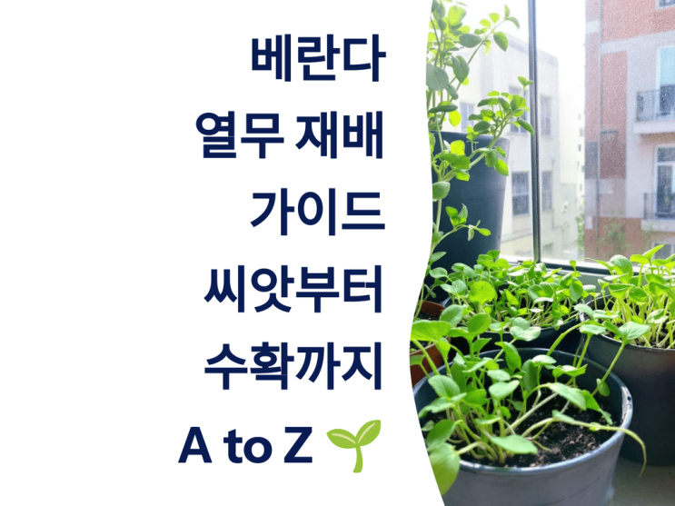  베란다 열무 재배 가이드: 씨앗부터 수확까지 A to Z