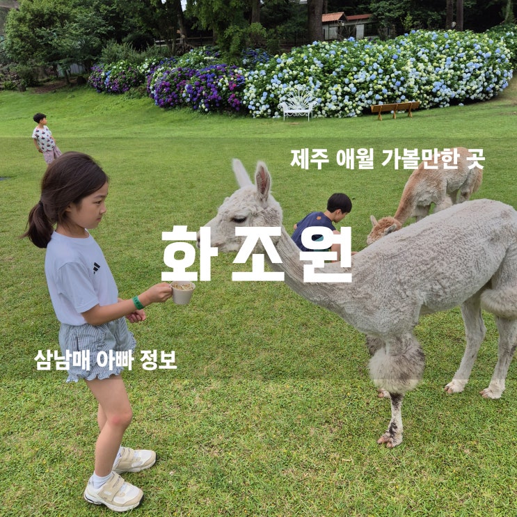  제주 서쪽 가볼 만한 곳, 아이들과 함께 떠난 제주 화조원 완벽 후기! 맹금류 공연부터 동물 먹이주기까지!