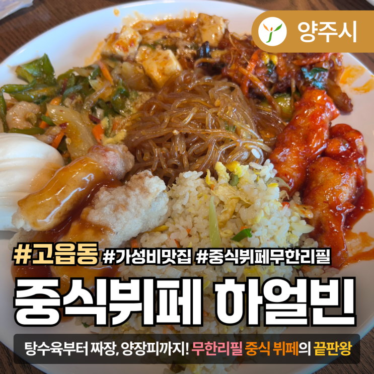  [경기도/양주] 다양한 메뉴가 가득!! 중식뷔페 '하얼빈'