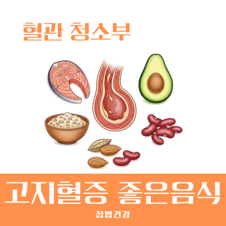 고지혈증에 좋은음식 BEST 5 혈관 청소해 주는 놀라운 식품들