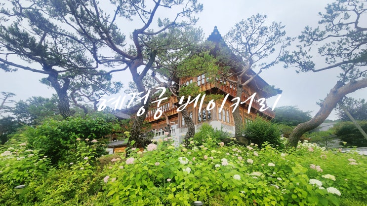 [화성 융건릉 카페] 융건릉 산책 후 들르기 좋은 혜경궁 베이커리 & 연꽃 핀 보통저수지 산책