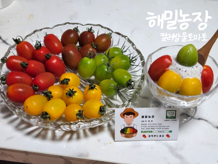 산지직송 해밀농장 컬러방울토마토, 방토 맛있게 즐기는 팁과 후기