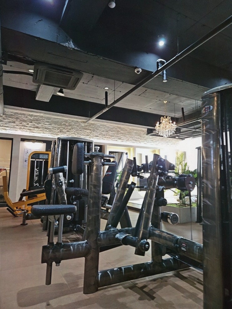  첨단 헬스장에서 전문 트레이너와 함께 운동하기, 바이브피트니스 첨단2지구점