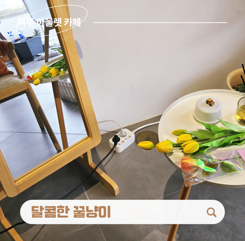 달콤한꿀냥이 사진 1
