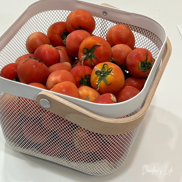 칠월이 코앞, 유월 셋째 주 기록하기