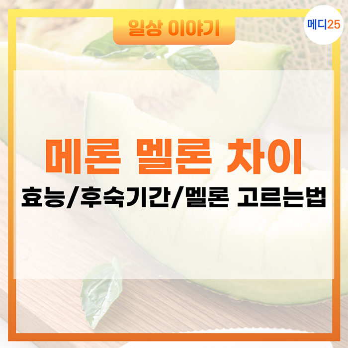 멜론 메론 차이! 메론 효능,부작용,후숙 기간,종류는? 멜론 고르는법까지!