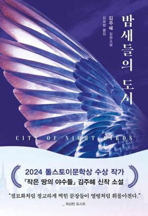  독후감: 김주혜의 『밤새들의 도시』