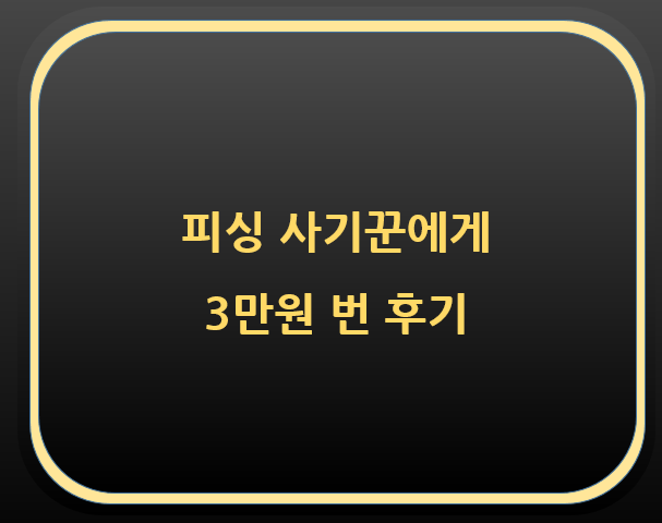  피싱 사기꾼에게 3만원 번 후기