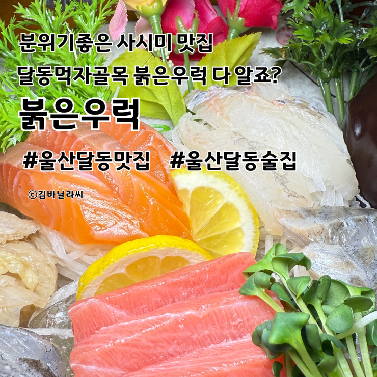  울산 달동 맛집 붉은우럭 우럭매운탕 먹자골목 분위기 술집