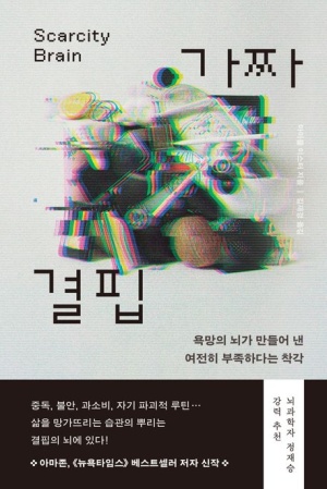  독후감: 마이클 이스터의 『가짜 결핍』