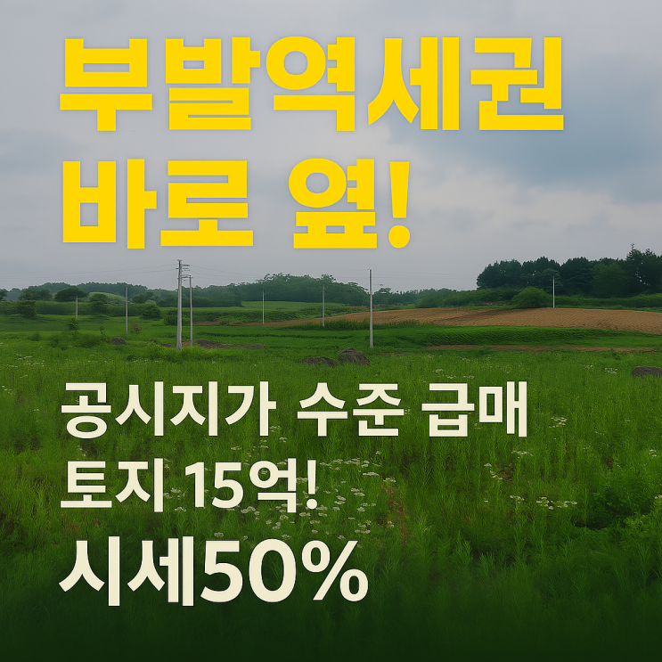   부발역세권 바로 옆! 공시지가 수준 급매 토지 15억!(신설2차선 100미터지점)시세50%↓