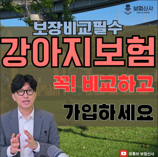  강아지보험 비교하고 가입하세요